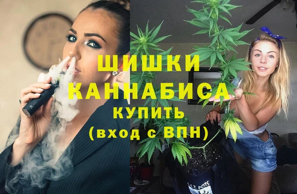 твердый Арсеньев
