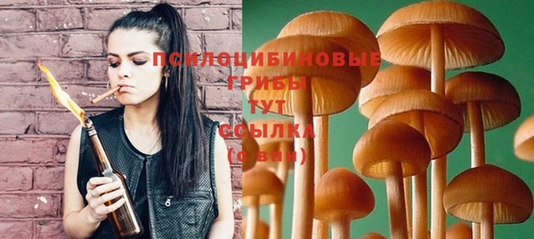 твердый Арсеньев