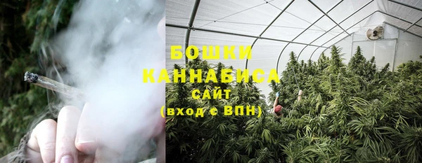 твердый Арсеньев