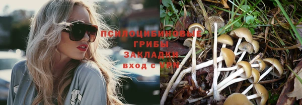 меф Новокубанск