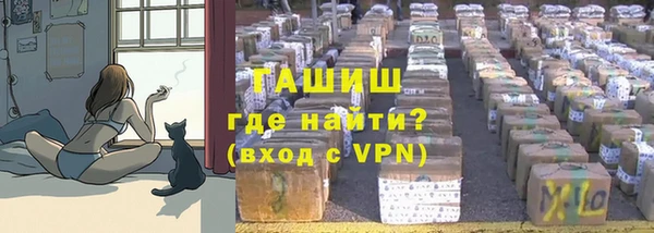 твердый Арсеньев